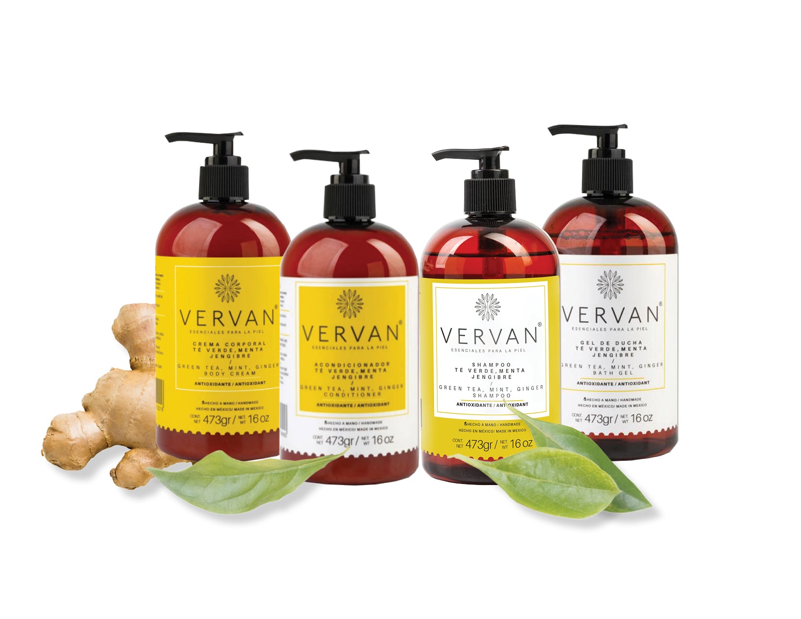 Kit Completo de Té Verde, Menta y Jengibre