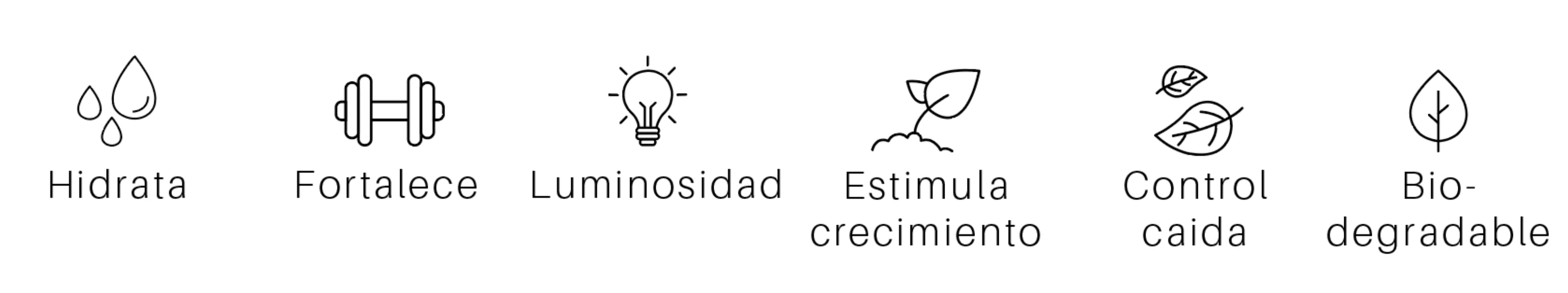 Kit Completo de Lavanda Eucalipto